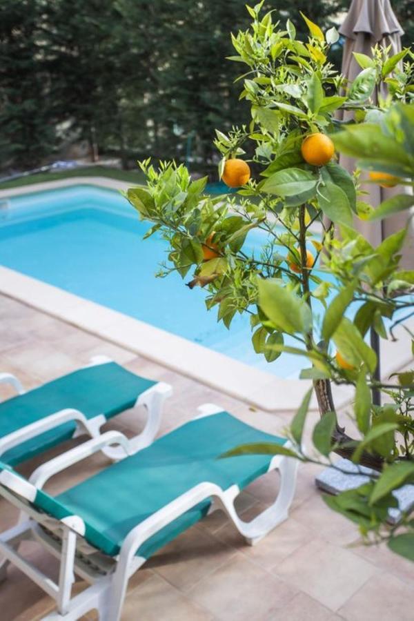 Pelle * Soller